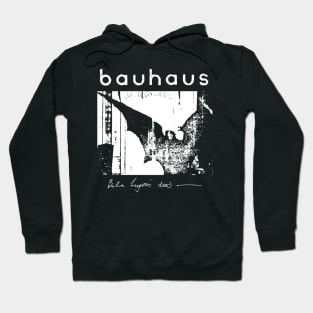 Siouxsie and the Banshees Unique Sound Hoodie